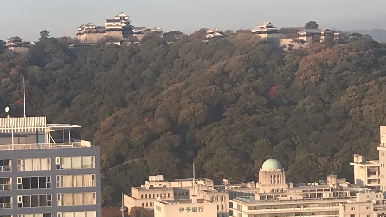 伊予鉄髙島屋の観覧車から見た松山城
