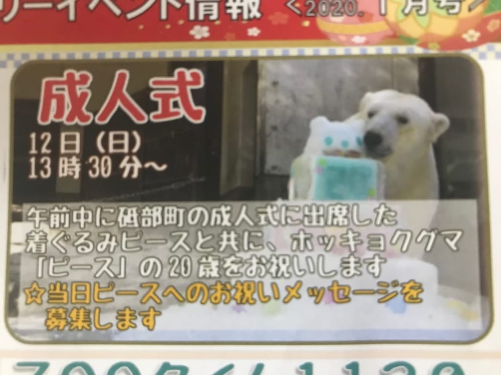 とべ動物園ピースくん成人式