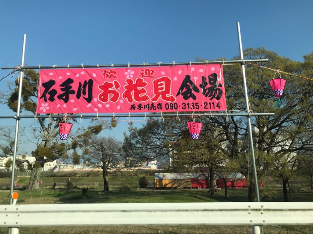 石手川お花見会場