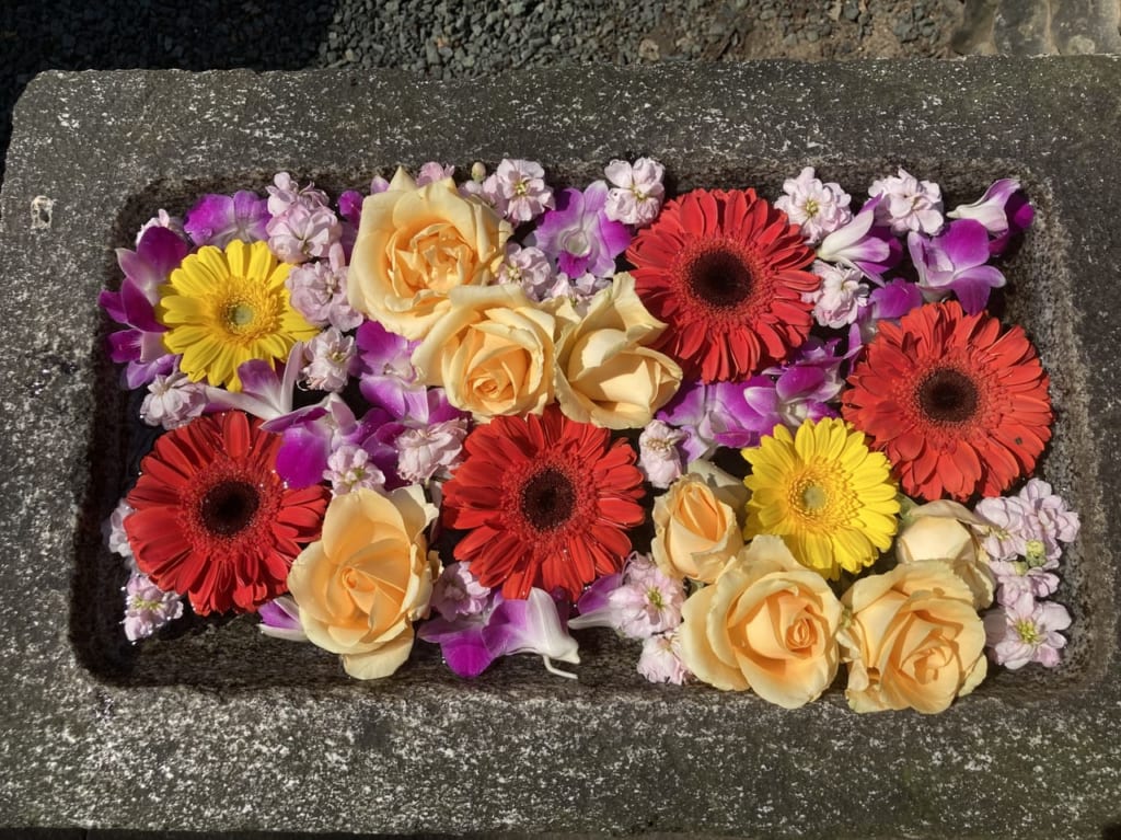 高忍日売神社花手水