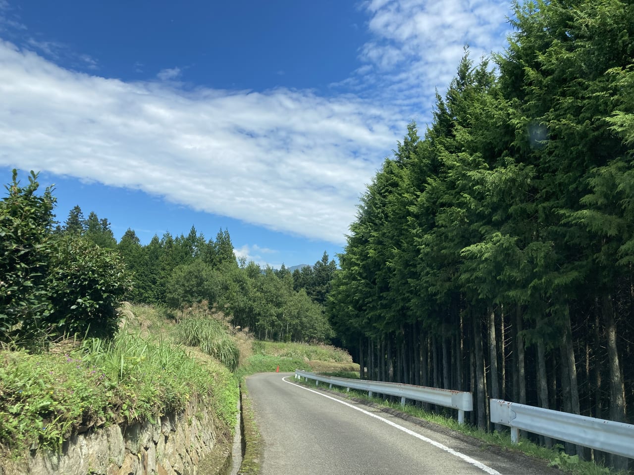 千本高原への道